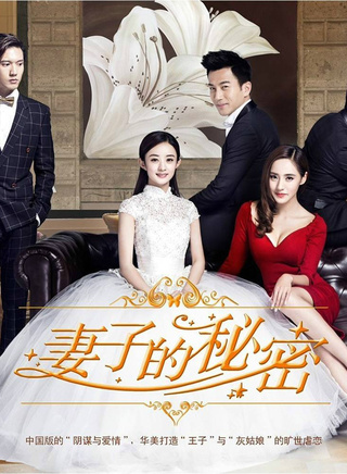 《妻子的秘密》