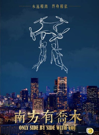 《南方有乔木》
