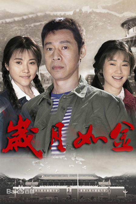 电视剧《岁月如金》