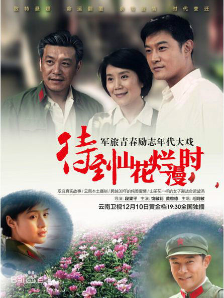 电视剧《待到山花烂漫时》