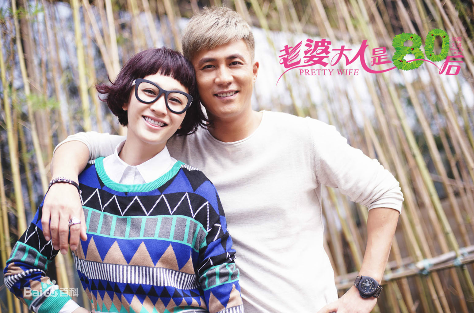 电视剧《老婆大人是80后》