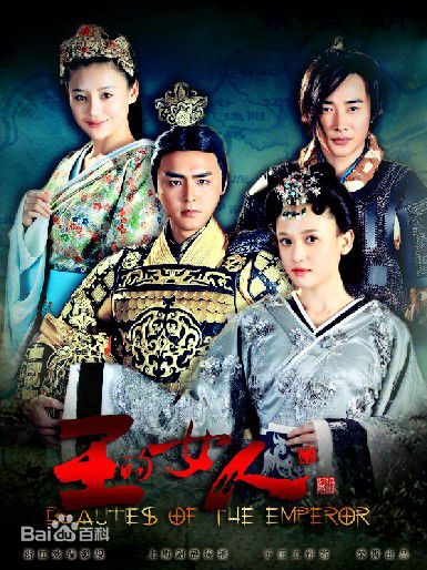 电视剧《王的女人》