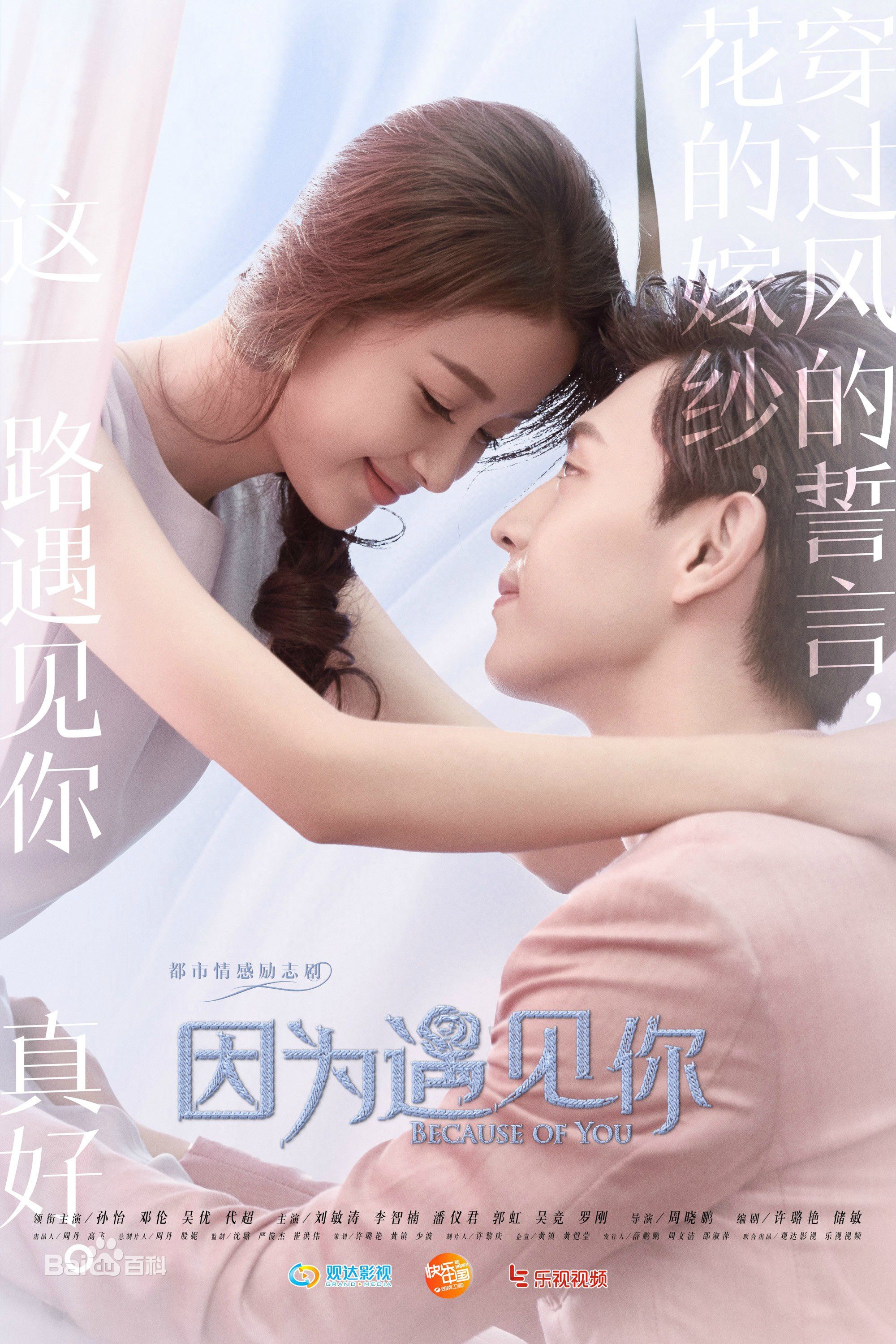 电视剧《因为遇见你》饰演李云恺