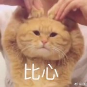 赵露思