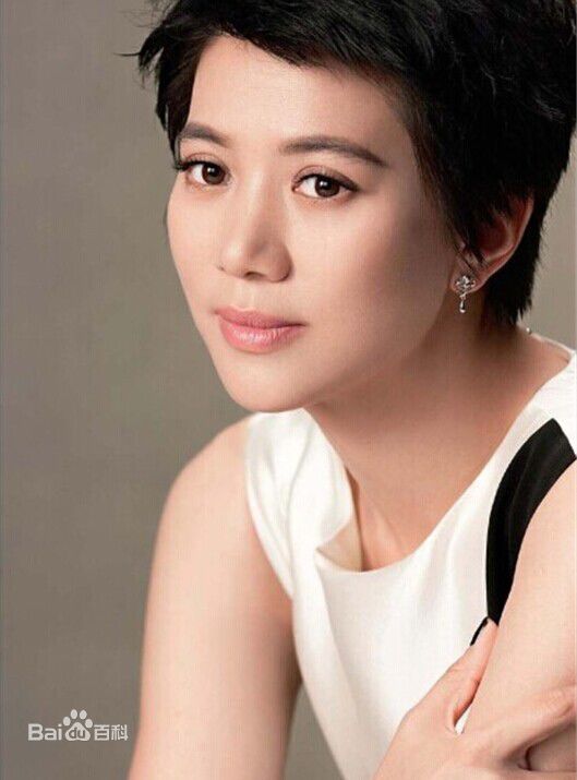 搭档袁咏仪