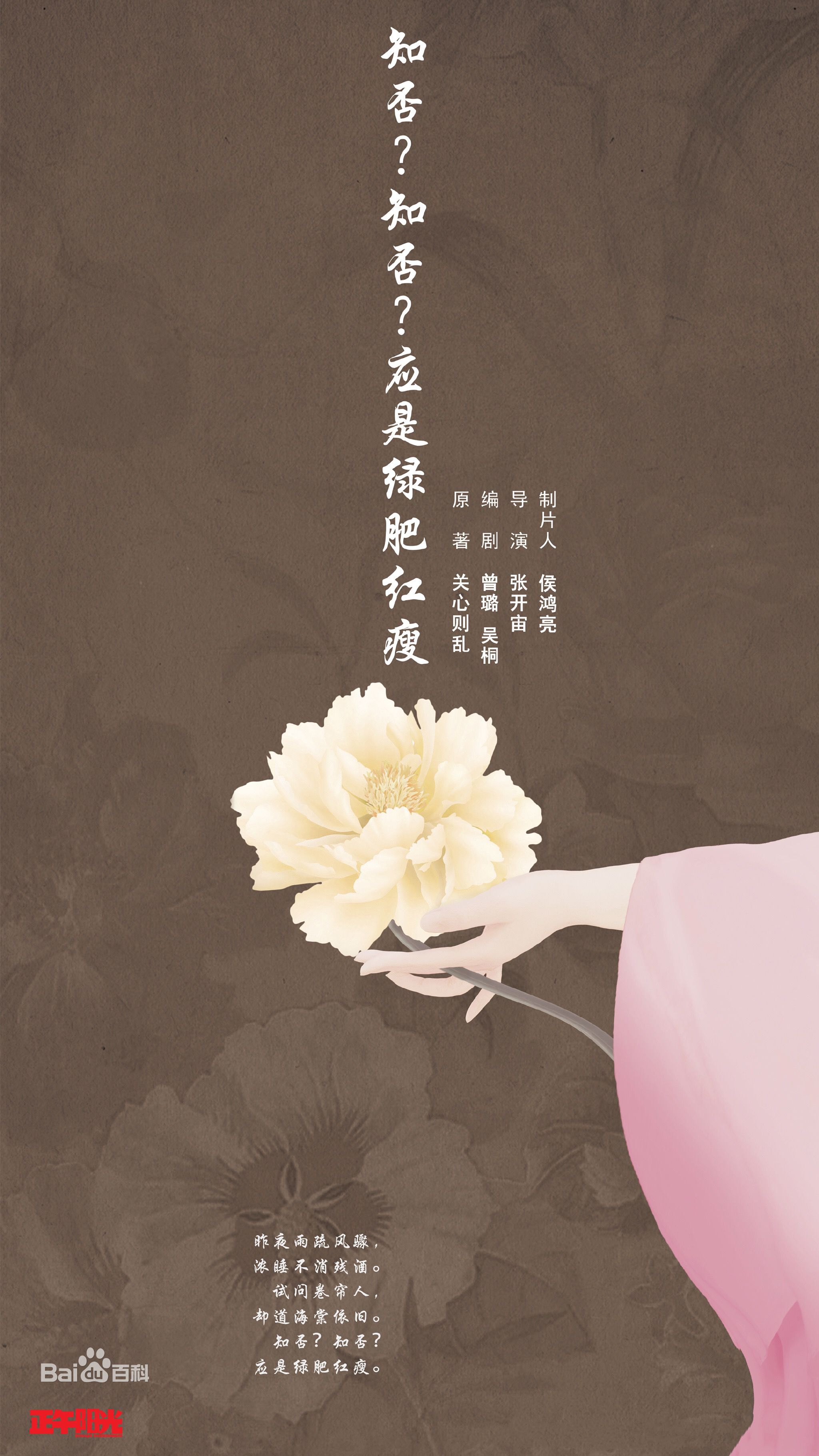 电视剧《知否知否应是绿肥红瘦》