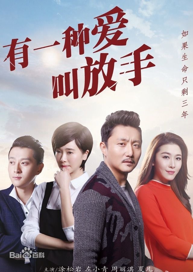 电视剧《有一种爱叫放手》