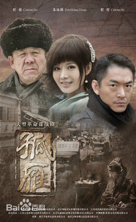 电视剧《孤雁》