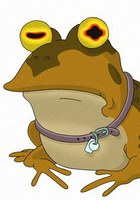 催眠蛤蟆 The Hypnotoad