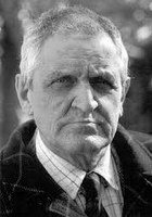 罗马诺·格希尼 Romano Ghini