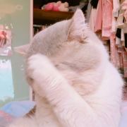 三扣三
