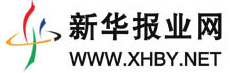 新华报业网
