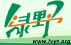 绿野网旅游