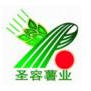 圣容多彩土豆
