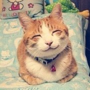 电影啪姐