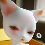 陈太爱包包