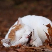 随手拍天津生活
