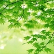 搭配风格选
