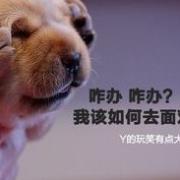随手拍青岛生活
