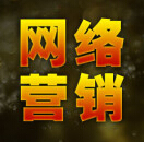 网络营销专家